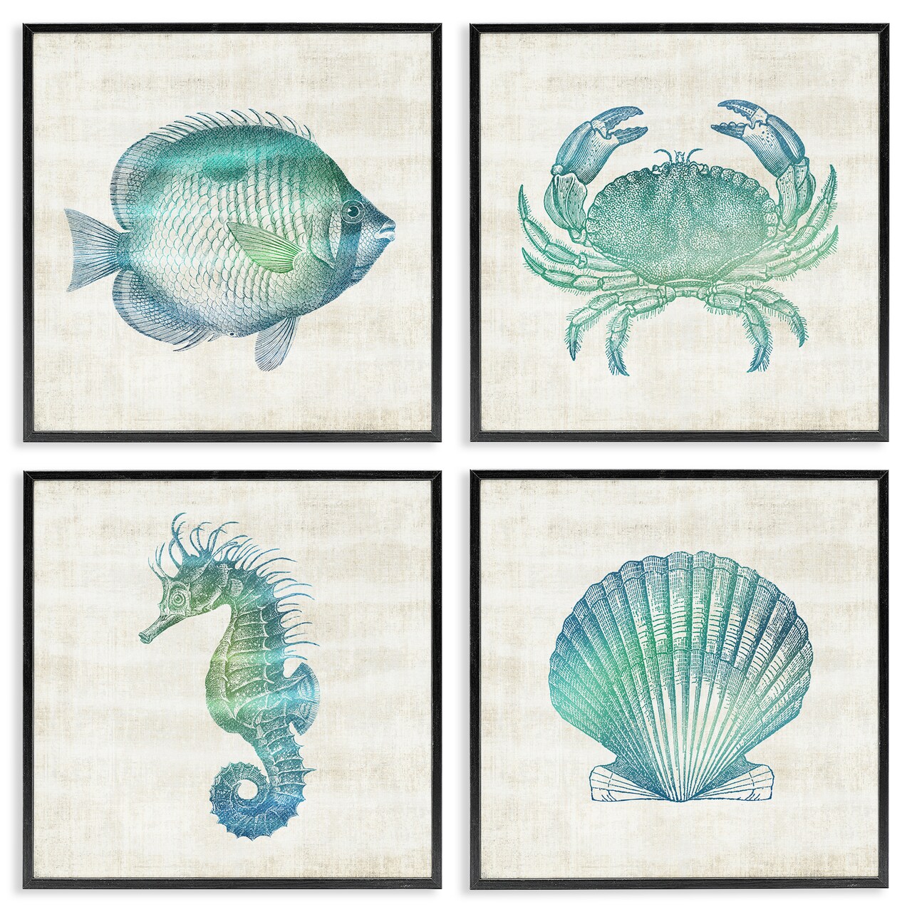 Stupell Industries Aquatic Sea Life Impressions 4pc Framed Giclee Set Design by Susan Arnot